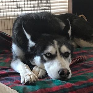 Meet your Posher, Cherie